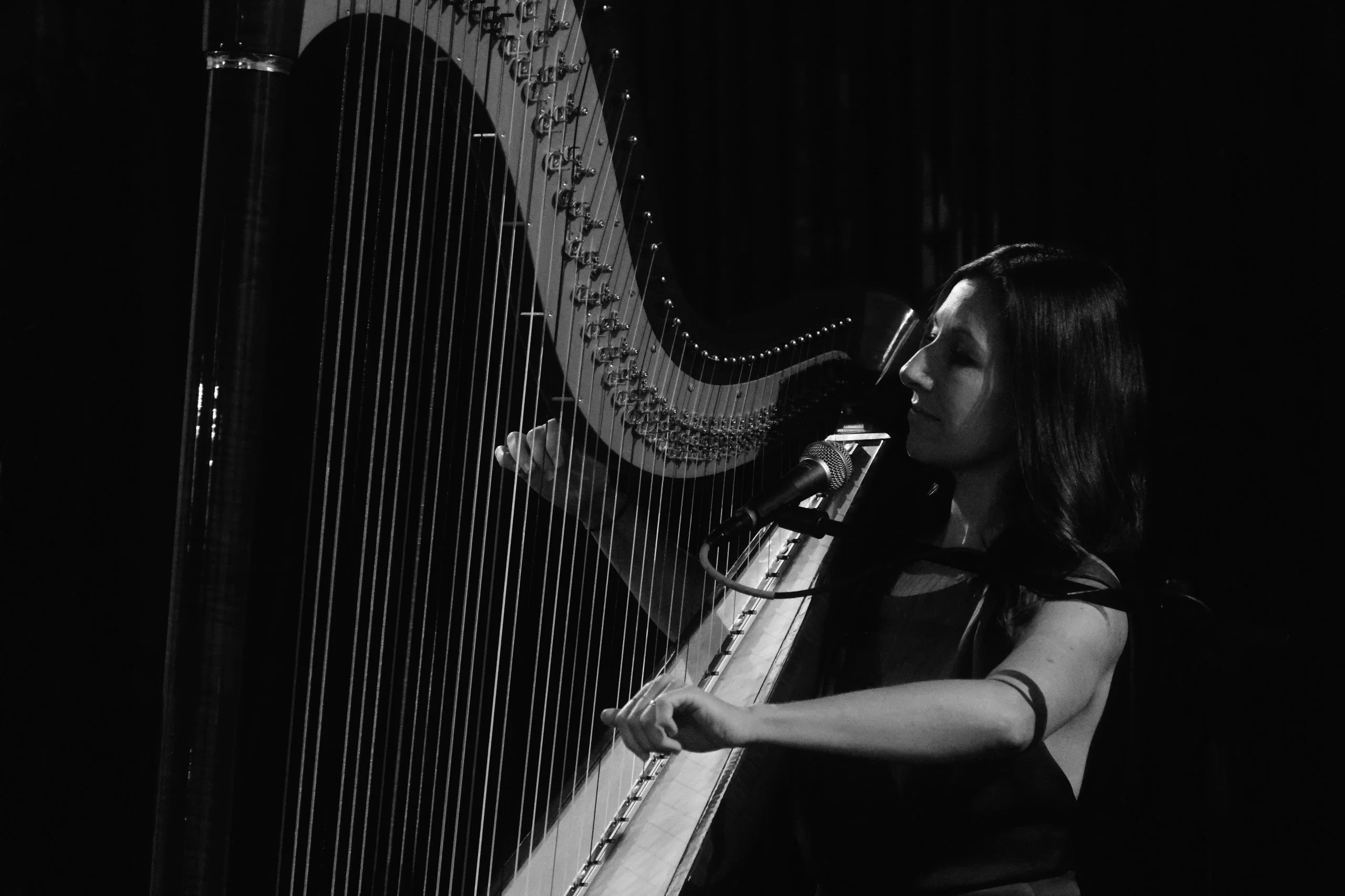 2023 in black and white